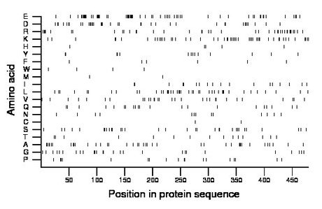 amino acid map