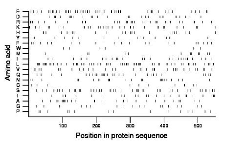 amino acid map