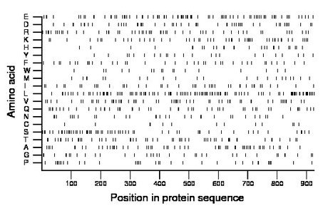 amino acid map