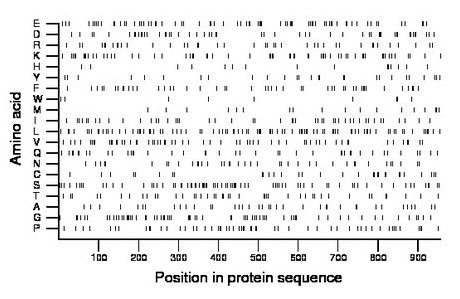 amino acid map