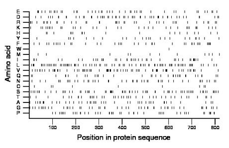 amino acid map