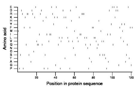 amino acid map