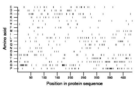 amino acid map