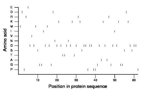 amino acid map