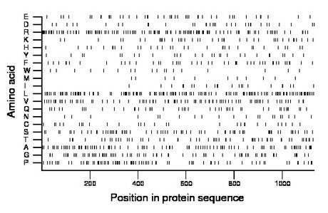 amino acid map