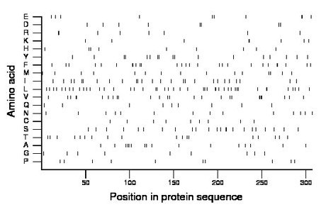 amino acid map