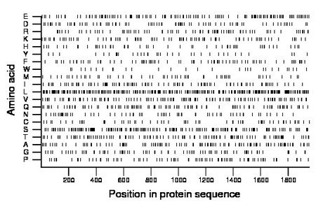 amino acid map