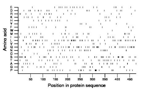 amino acid map