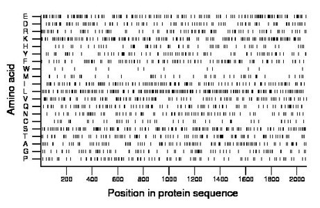 amino acid map