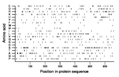 amino acid map