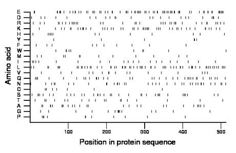 amino acid map