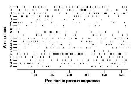 amino acid map