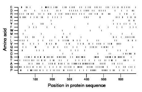 amino acid map