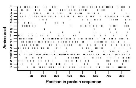 amino acid map