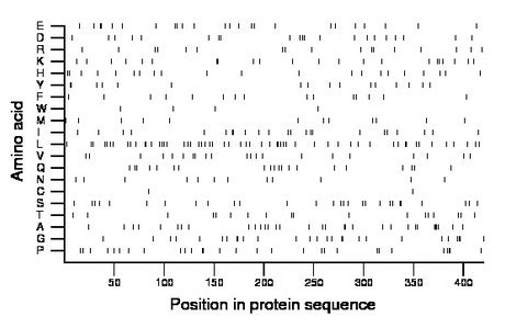 amino acid map