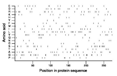 amino acid map