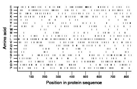 amino acid map