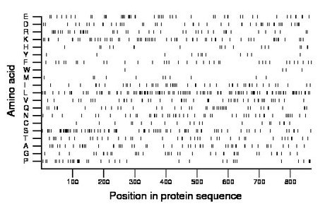 amino acid map