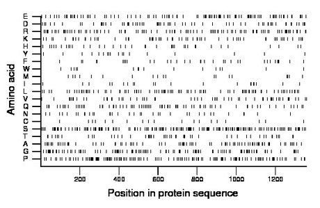 amino acid map