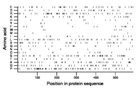 amino acid map