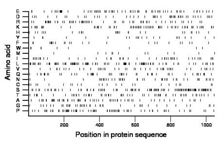 amino acid map