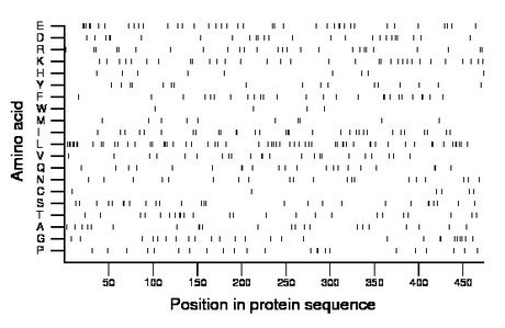 amino acid map