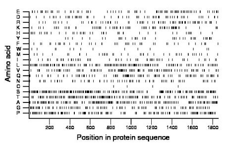 amino acid map