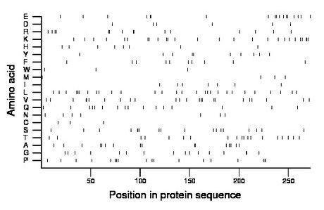 amino acid map