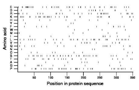 amino acid map