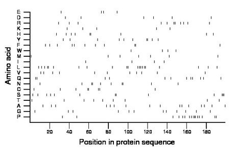 amino acid map