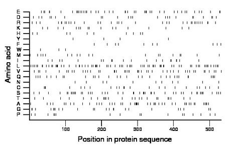 amino acid map