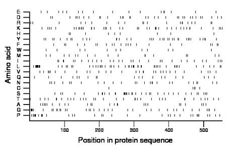 amino acid map