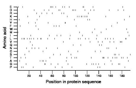 amino acid map