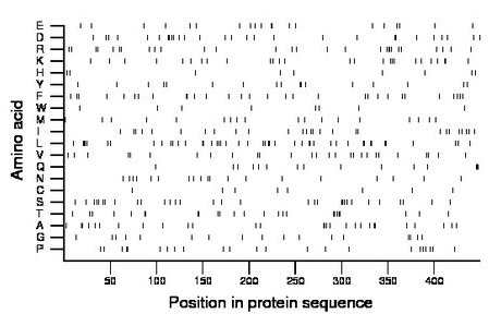 amino acid map