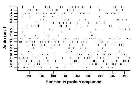 amino acid map