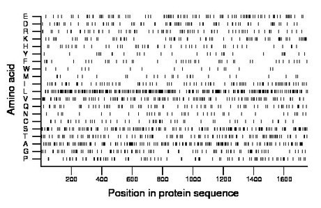 amino acid map