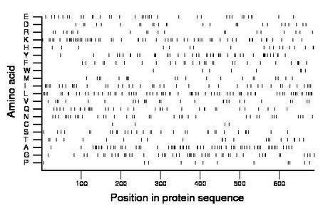 amino acid map