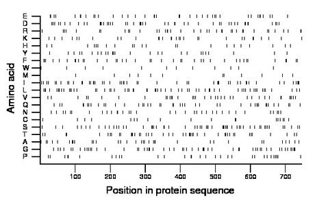 amino acid map