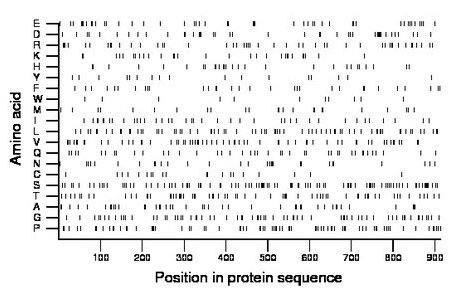 amino acid map