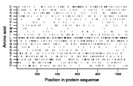 amino acid map