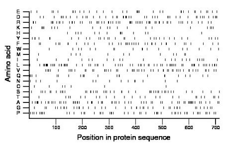 amino acid map