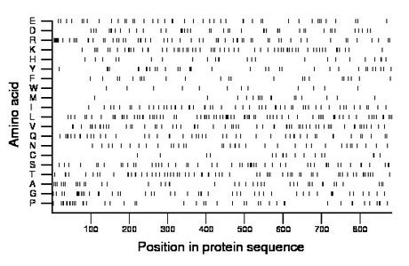 amino acid map