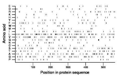 amino acid map