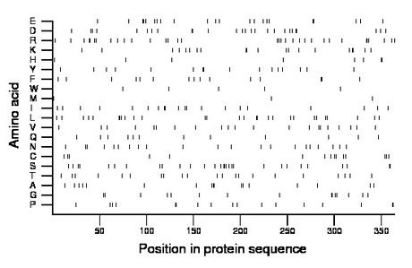 amino acid map