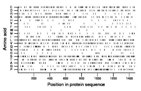 amino acid map