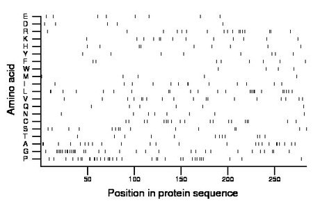 amino acid map