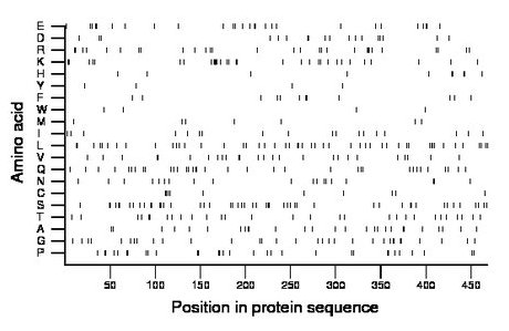 amino acid map