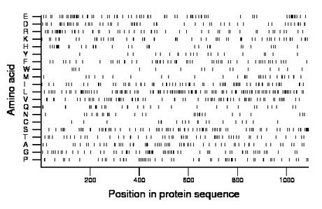 amino acid map