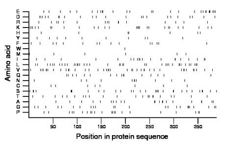 amino acid map