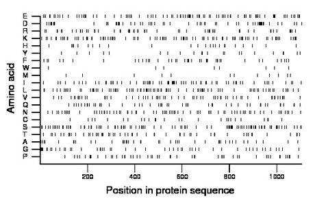 amino acid map